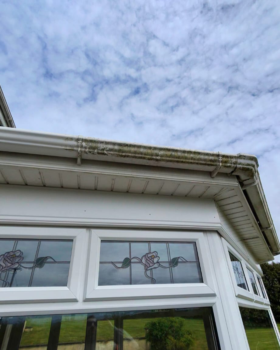 Same roofline before cleaning, dark with moss